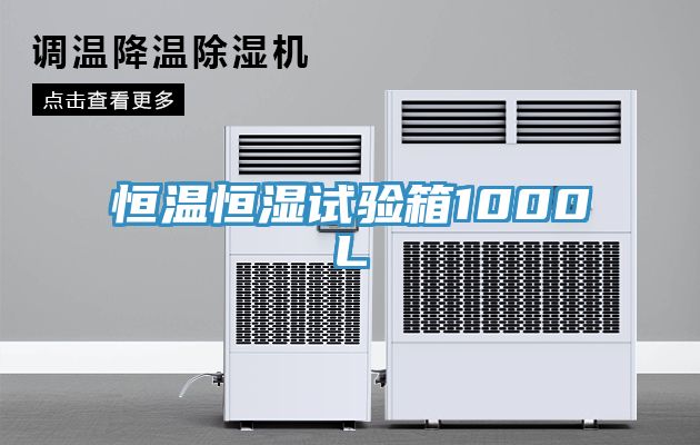 恒溫恒濕試驗(yàn)箱1000L