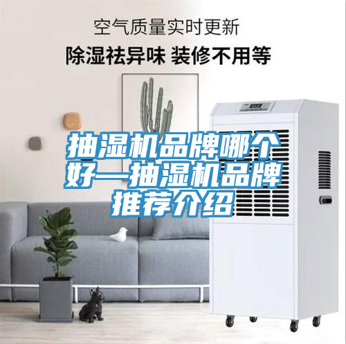 抽濕機(jī)品牌哪個(gè)好—抽濕機(jī)品牌推薦介紹