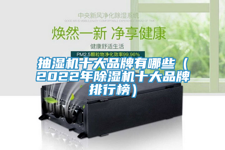 抽濕機(jī)十大品牌有哪些（2022年除濕機(jī)十大品牌排行榜）