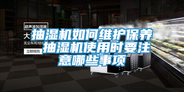 抽濕機如何維護保養(yǎng) 抽濕機使用時要注意哪些事項