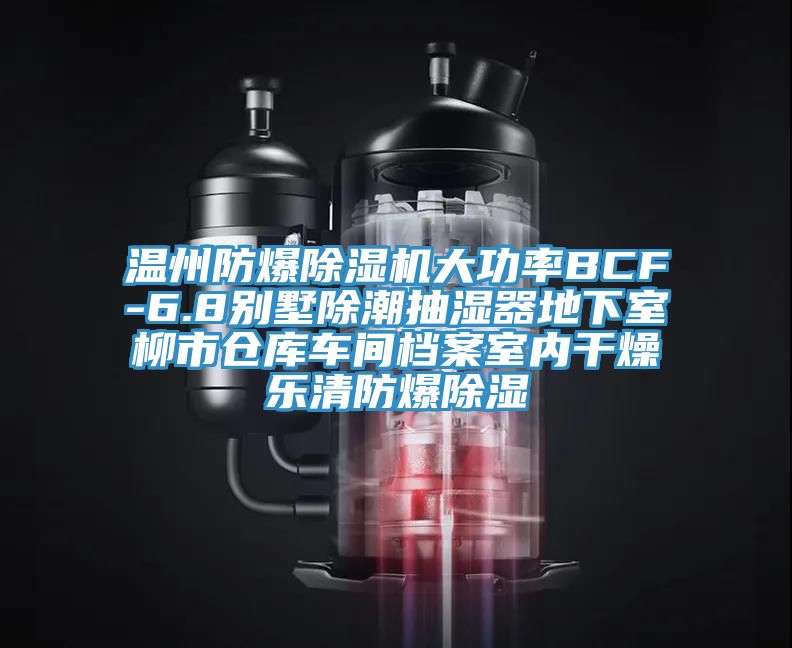 溫州防爆除濕機(jī)大功率BCF-6.8別墅除潮抽濕器地下室柳市倉庫車間檔案室內(nèi)干燥樂清防爆除濕