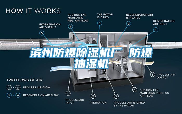 濱州防爆除濕機(jī)廠 防爆抽濕機(jī)