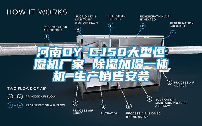 河南DY-CJ50大型恒濕機廠家 除濕加濕一體機 生產(chǎn)銷售安裝