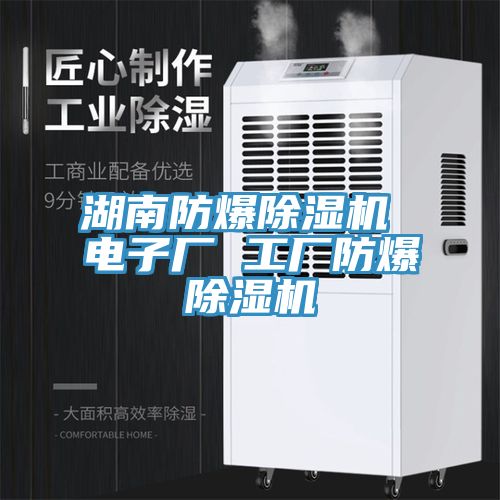 湖南防爆除濕機(jī) 電子廠 工廠防爆除濕機(jī)