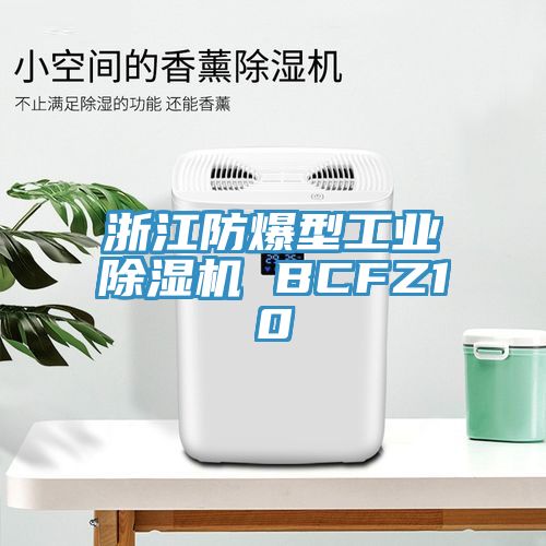 浙江防爆型工業(yè)除濕機(jī) BCFZ10