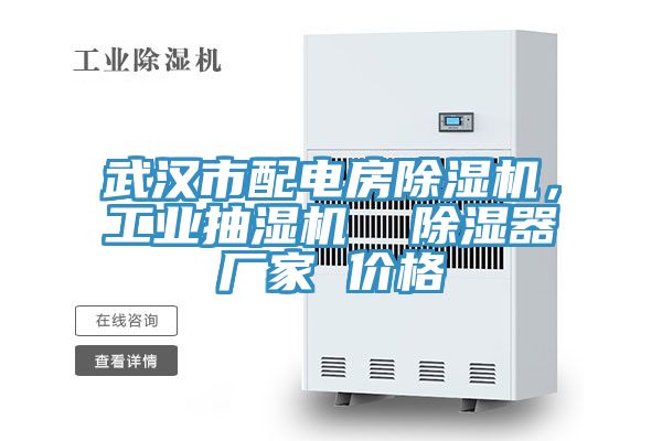 武漢市配電房除濕機，工業(yè)抽濕機  除濕器廠家 價格