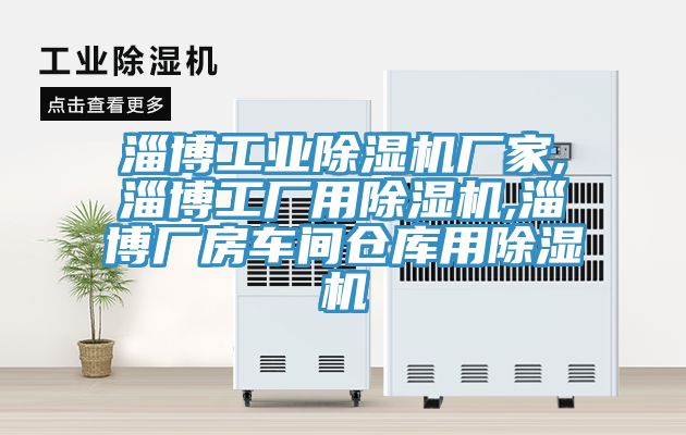 淄博工業(yè)除濕機廠家,淄博工廠用除濕機,淄博廠房車間倉庫用除濕機