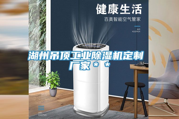 湖州吊頂工業(yè)除濕機(jī)定制 廠家＊＊