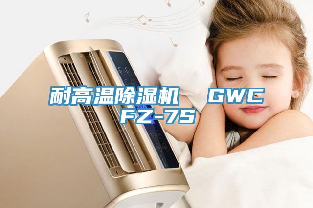 耐高溫除濕機  GWCFZ-7S