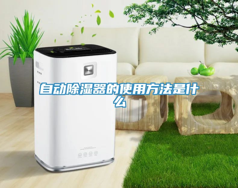 自動(dòng)除濕器的使用方法是什么