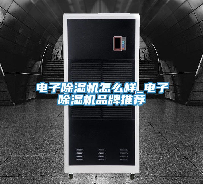 電子除濕機(jī)怎么樣_電子除濕機(jī)品牌推薦