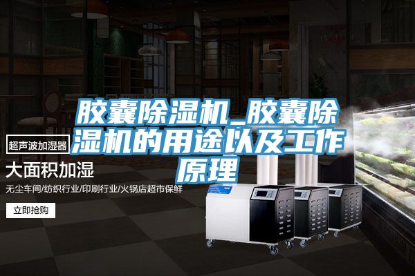 膠囊除濕機_膠囊除濕機的用途以及工作原理