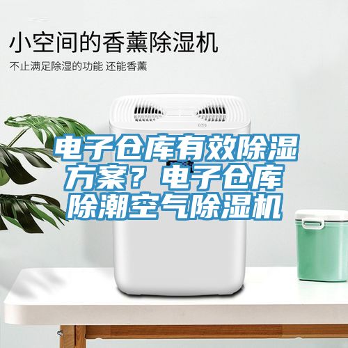 電子倉庫有效除濕方案？電子倉庫除潮空氣除濕機