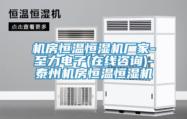 機房恒溫恒濕機廠家-至力電子(在線咨詢)-泰州機房恒溫恒濕機