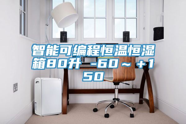 智能可編程恒溫恒濕箱80升 -60～＋150℃