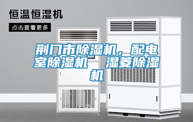 荊門市除濕機(jī)，配電室除濕機(jī)  濕菱除濕機(jī)