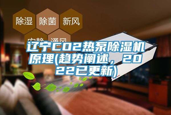 遼寧CO2熱泵除濕機(jī)原理(趨勢(shì)闡述，2022已更新)