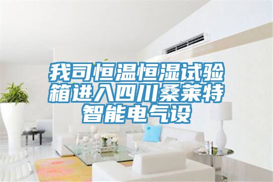 我司恒溫恒濕試驗箱進入四川桑萊特智能電氣設(shè)