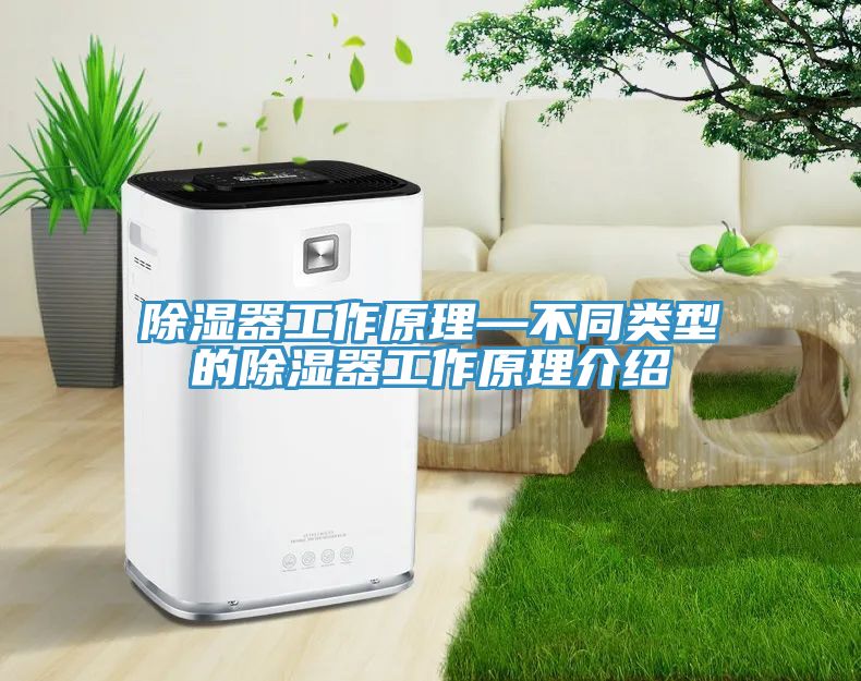 除濕器工作原理—不同類(lèi)型的除濕器工作原理介紹