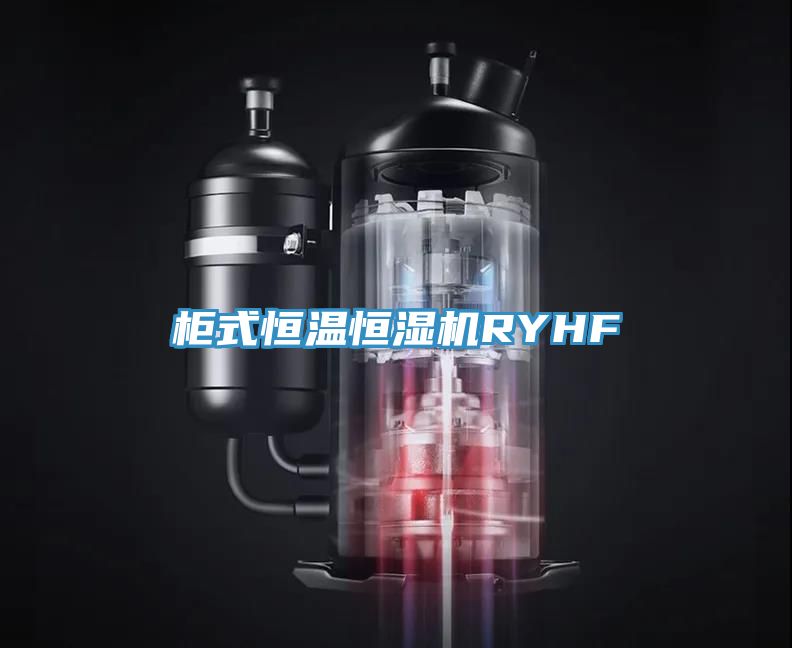 柜式恒溫恒濕機RYHF