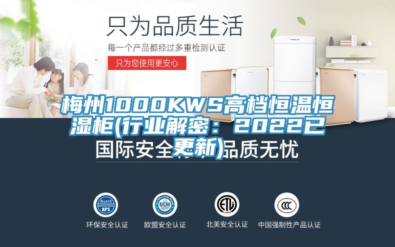 梅州1000KWS高檔恒溫恒濕柜(行業(yè)解密：2022已更新)