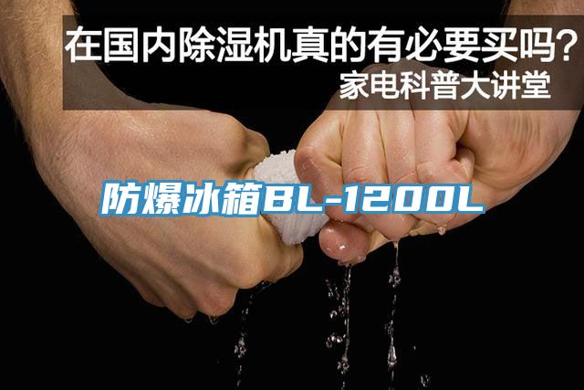 防爆冰箱BL-1200L