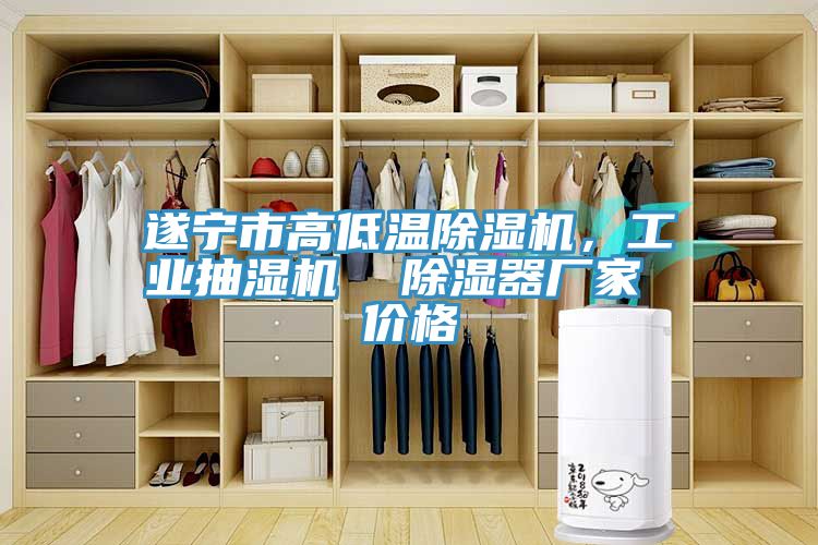 遂寧市高低溫除濕機，工業(yè)抽濕機  除濕器廠家 價格