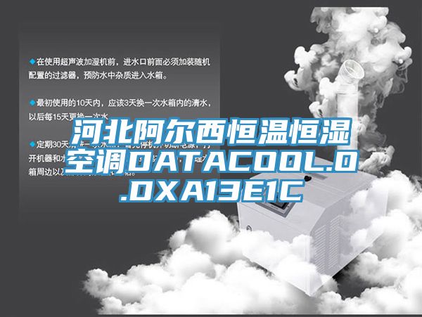 河北阿爾西恒溫恒濕空調(diào)DATACOOL.O.DXA13E1C