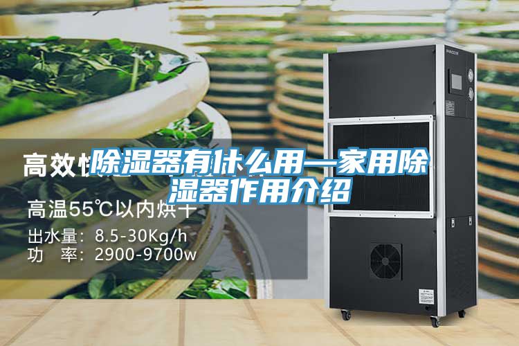 除濕器有什么用—家用除濕器作用介紹