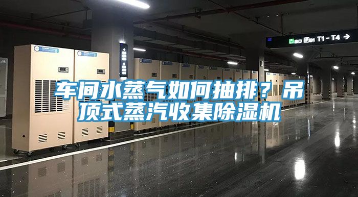 車間水蒸氣如何抽排？吊頂式蒸汽收集除濕機(jī)