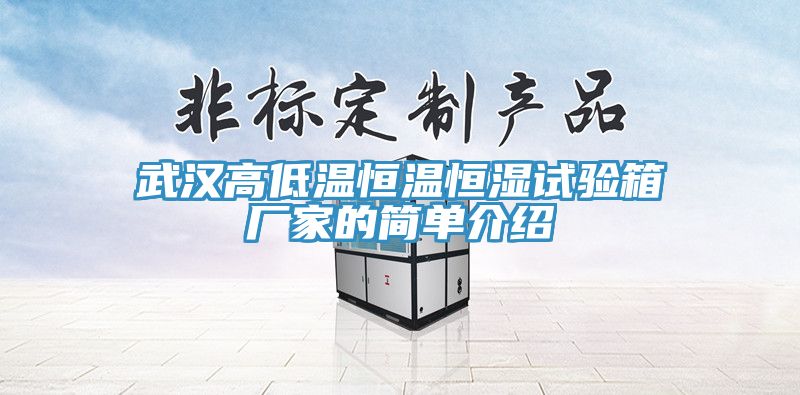 武漢高低溫恒溫恒濕試驗(yàn)箱廠家的簡(jiǎn)單介紹