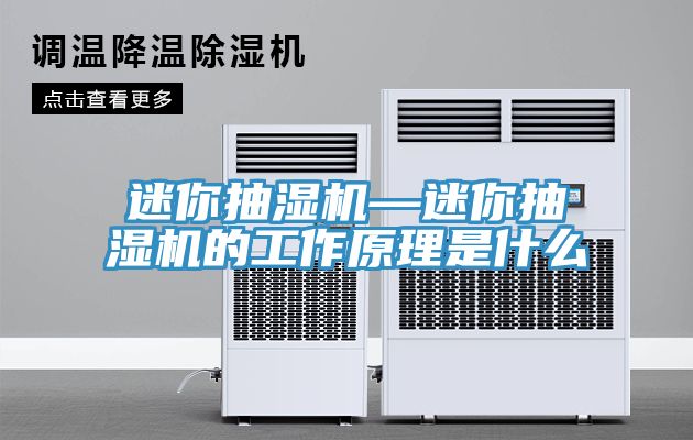 迷你抽濕機—迷你抽濕機的工作原理是什么