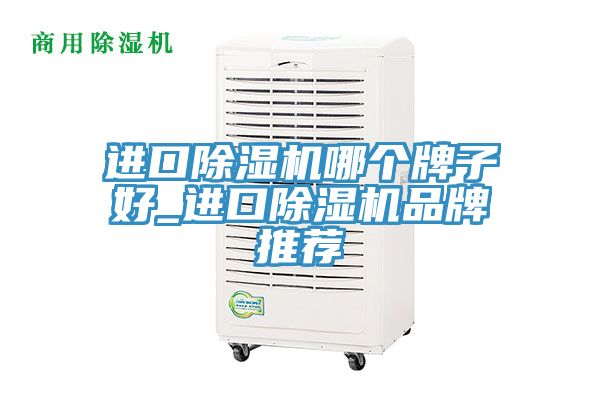 進口除濕機哪個牌子好_進口除濕機品牌推薦