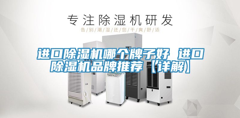 進口除濕機哪個牌子好 進口除濕機品牌推薦【詳解】