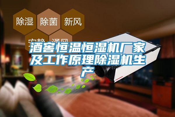 酒窖恒溫恒濕機廠家及工作原理除濕機生產(chǎn)