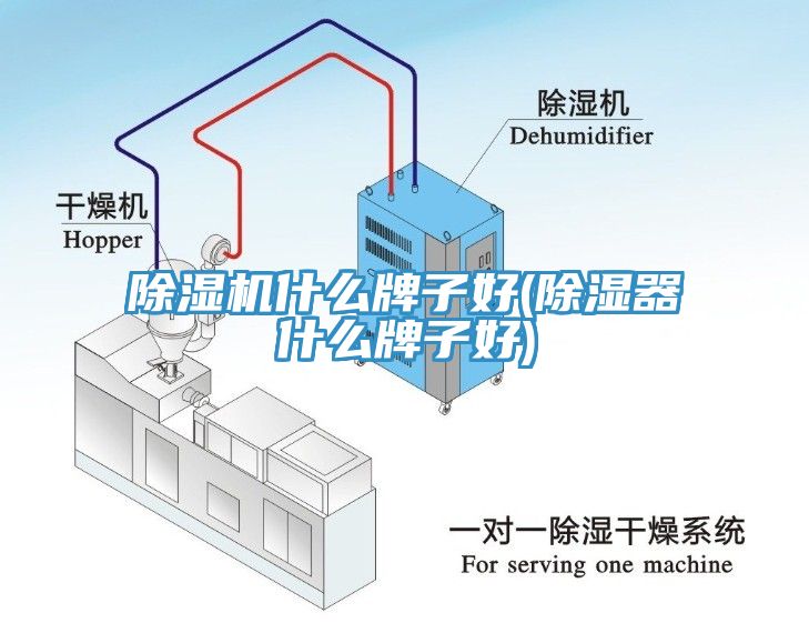 除濕機(jī)什么牌子好(除濕器什么牌子好)