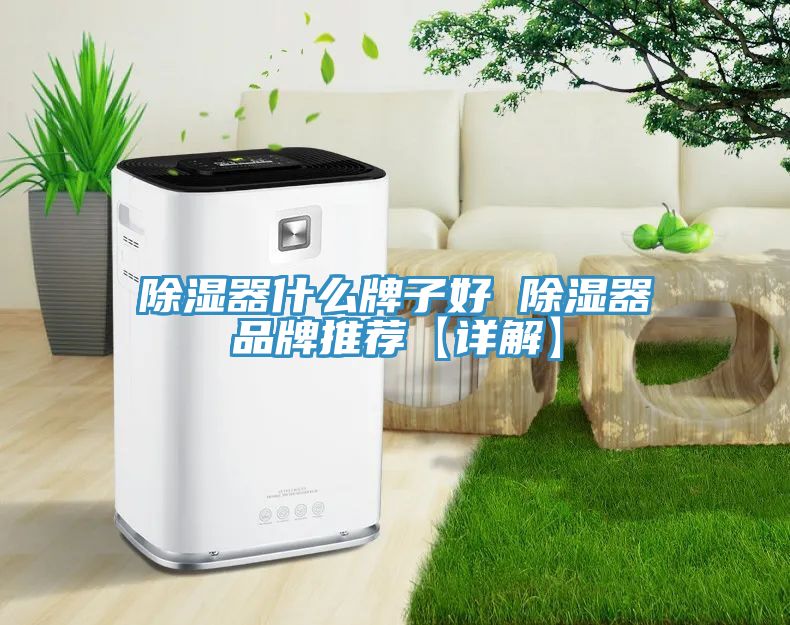 除濕器什么牌子好 除濕器品牌推薦【詳解】