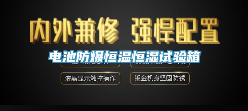 電池防爆恒溫恒濕試驗箱