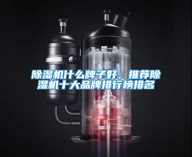 除濕機(jī)什么牌子好，推薦除濕機(jī)十大品牌排行榜排名