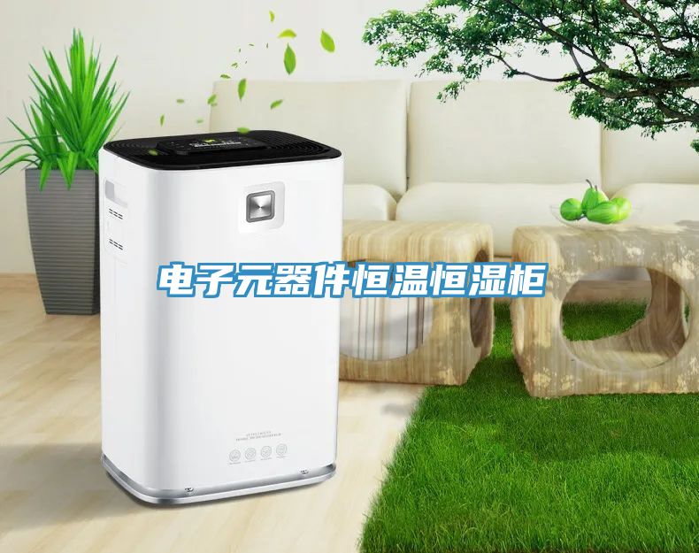 電子元器件恒溫恒濕柜