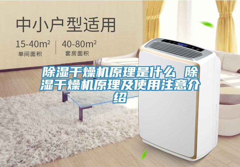 除濕干燥機(jī)原理是什么 除濕干燥機(jī)原理及使用注意介紹