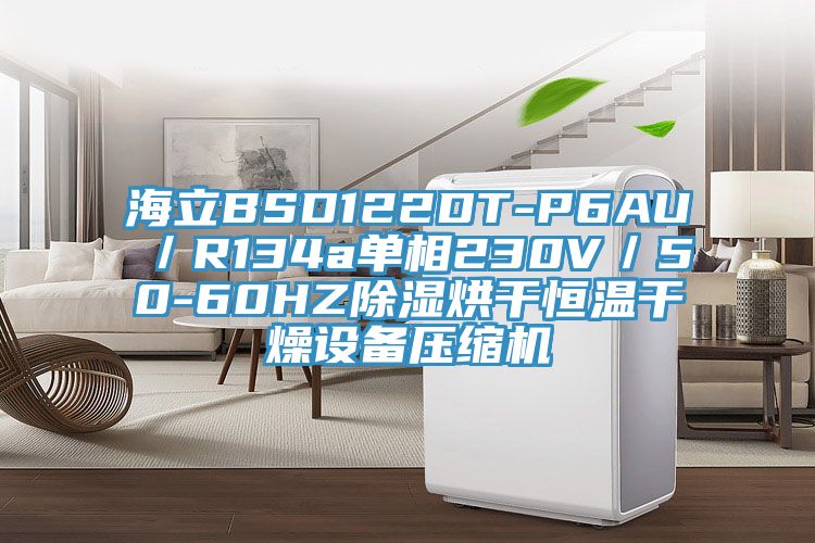 海立BSD122DT-P6AU／R134a單相230V／50-60HZ除濕烘干恒溫干燥設備壓縮機