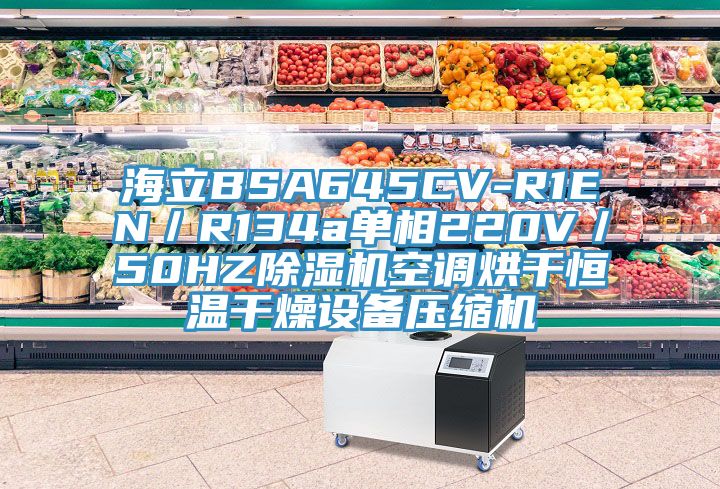 海立BSA645CV-R1EN／R134a單相220V／50HZ除濕機空調烘干恒溫干燥設備壓縮機