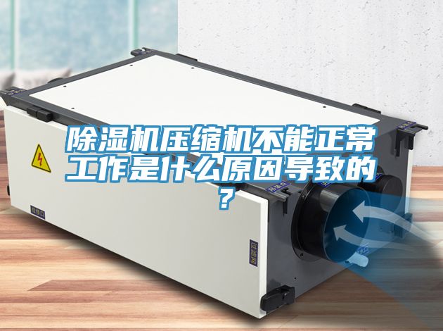 除濕機壓縮機不能正常工作是什么原因?qū)е碌模?></div>
								<div   id=