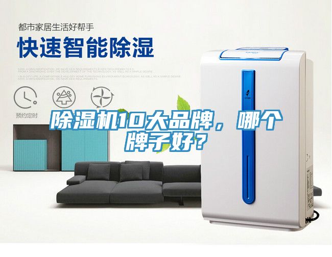 除濕機10大品牌，哪個牌子好？