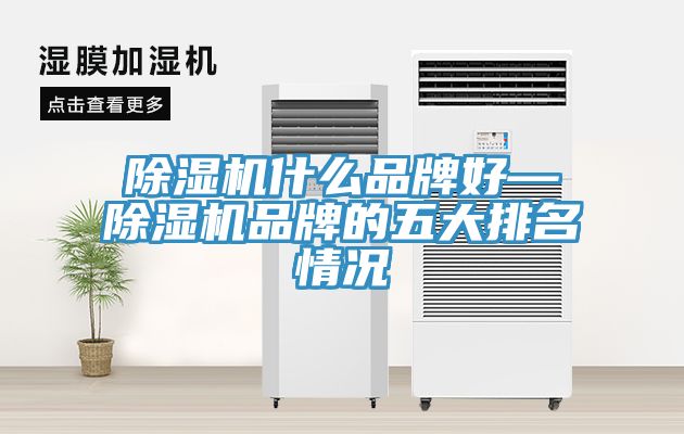 除濕機什么品牌好—除濕機品牌的五大排名情況