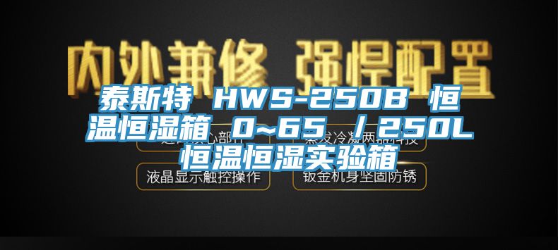 泰斯特 HWS-250B 恒溫恒濕箱 0~65℃／250L 恒溫恒濕實(shí)驗(yàn)箱