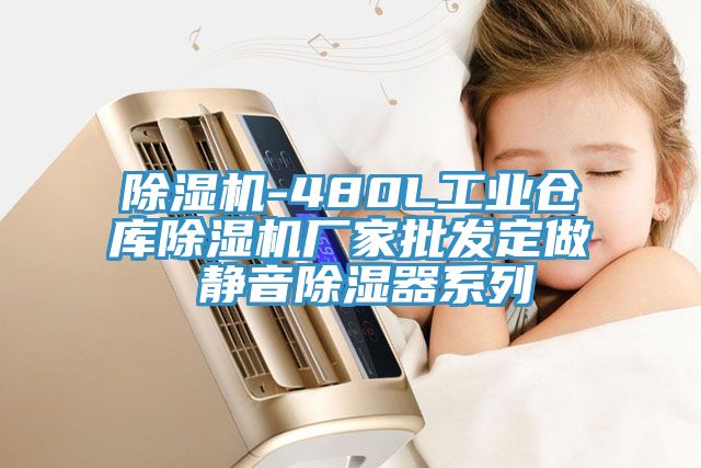 除濕機-480L工業(yè)倉庫除濕機廠家批發(fā)定做 靜音除濕器系列