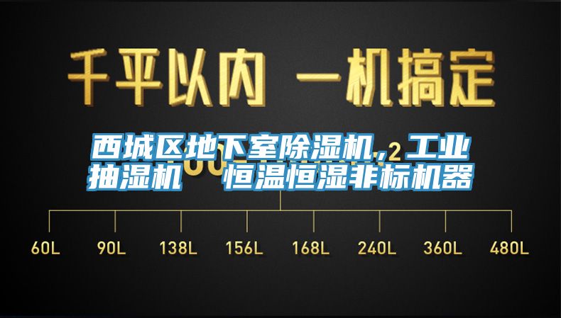 西城區(qū)地下室除濕機(jī)，工業(yè)抽濕機(jī)  恒溫恒濕非標(biāo)機(jī)器