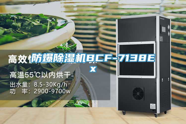 防爆除濕機(jī)BCF-7138Ex